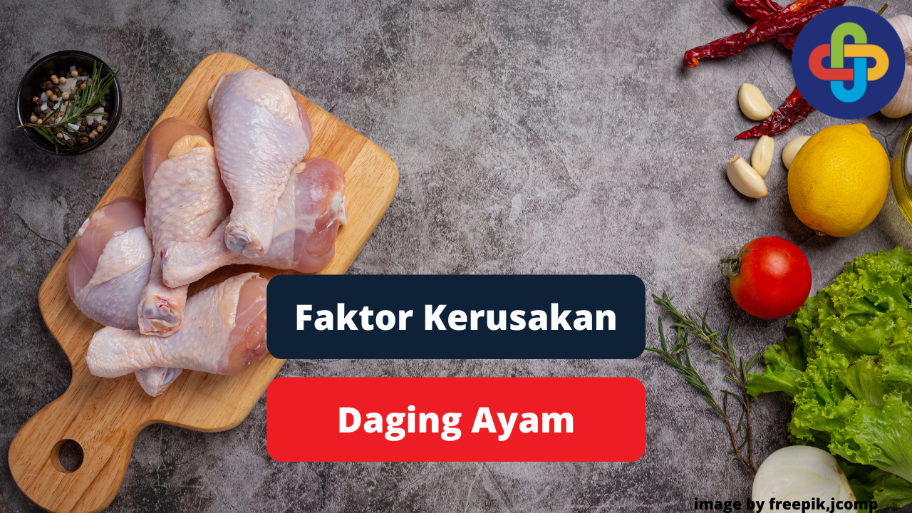 Ketahui Faktor Kerusakan Daging Ayam